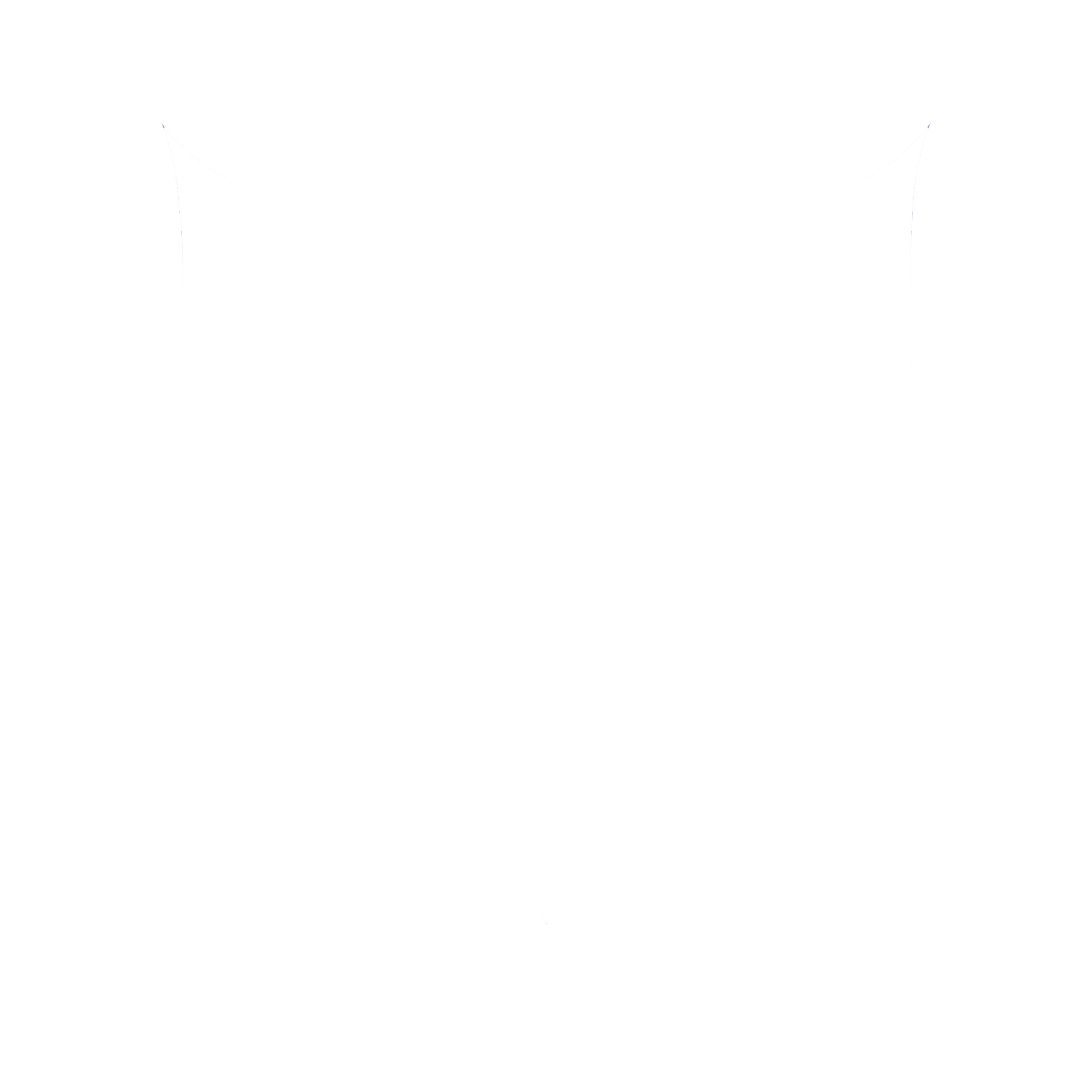 VOLI